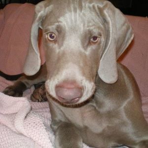 Meet your Posher, Christine